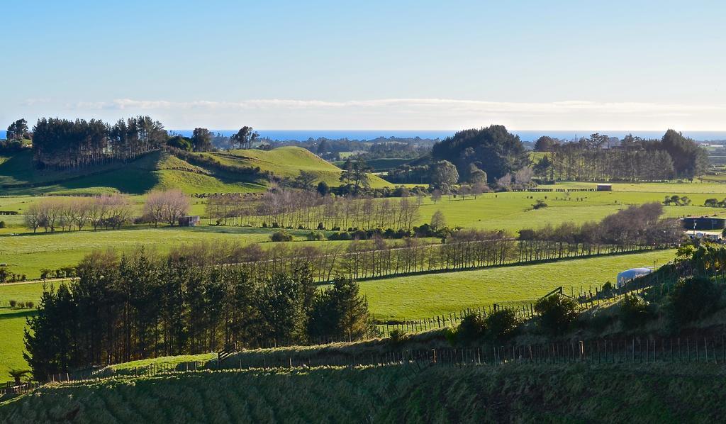 A Touch Of Tuscany At Hillsborough New Plymouth Kültér fotó