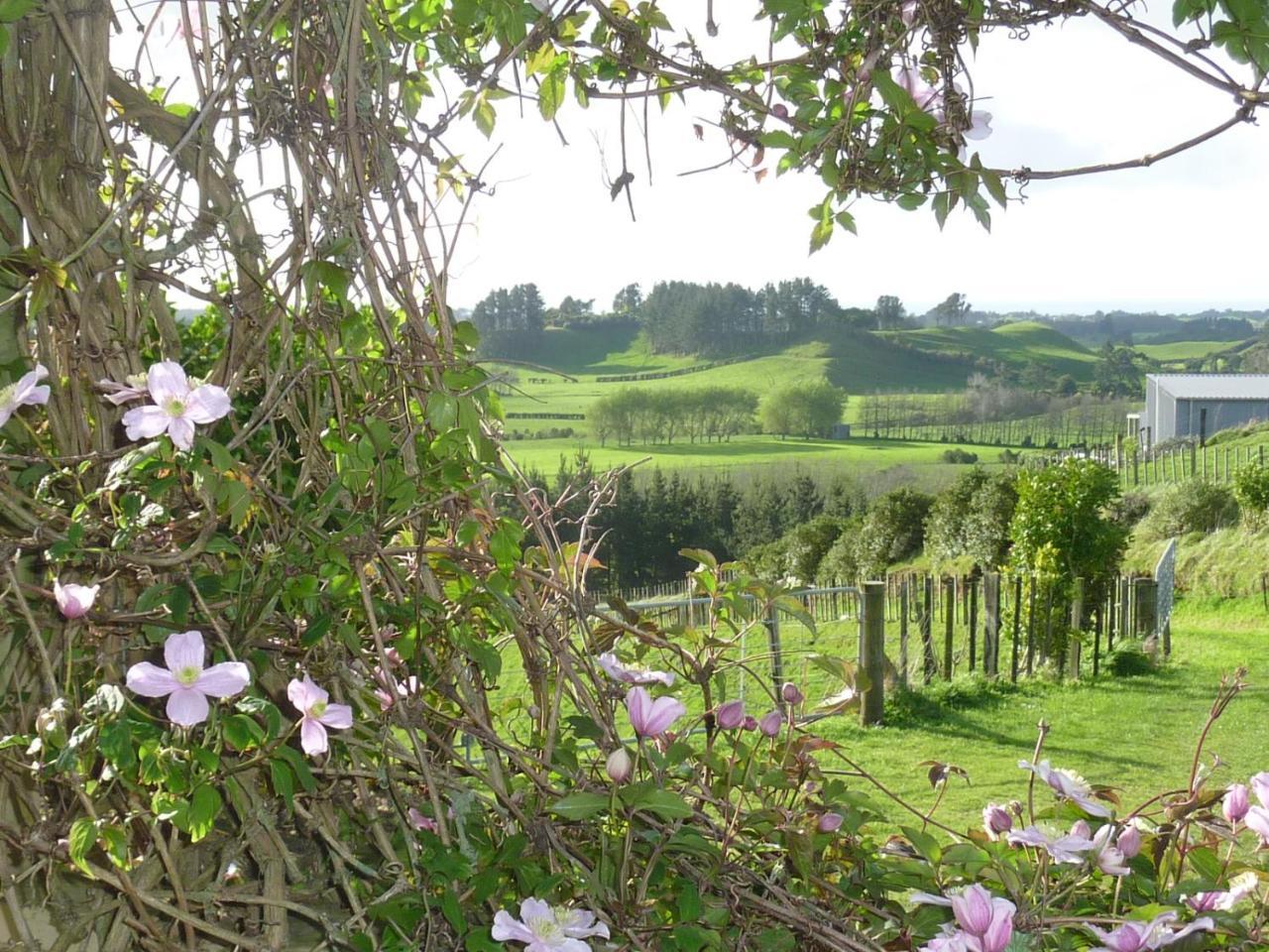 A Touch Of Tuscany At Hillsborough New Plymouth Kültér fotó
